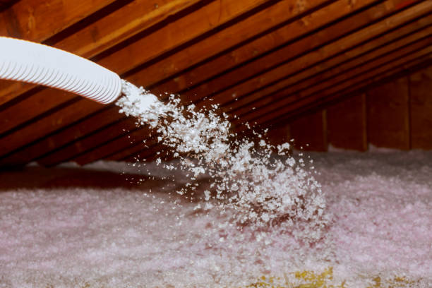 Best Insulation Maintenance and Repair in Gatesville, TX
